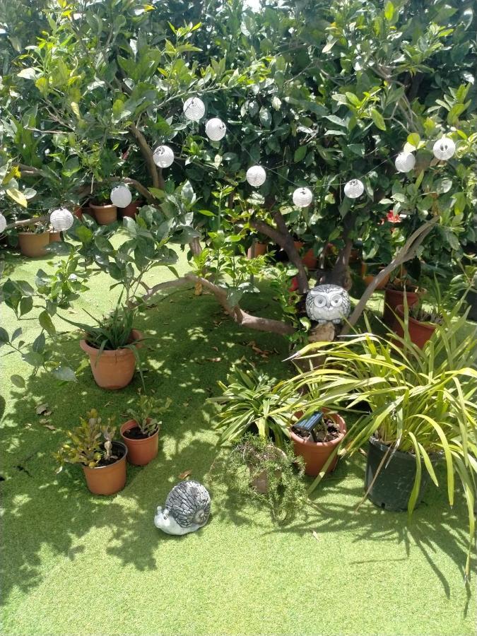 Appartamento Casa Nine con piscina Breña Baja Esterno foto